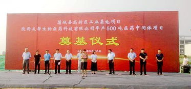 新動能蓄勢待發(fā) 陜西友幫500噸醫(yī)藥中間體項(xiàng)目正式開工