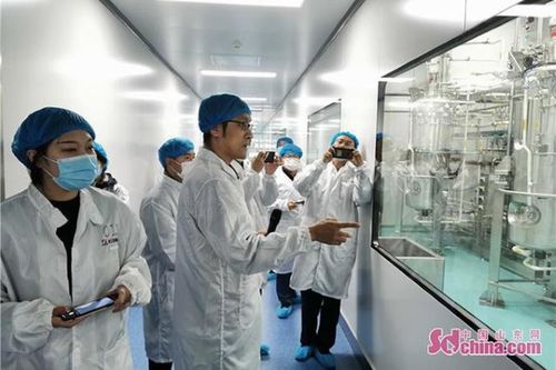 石藥集團(tuán)煙臺(tái)生物醫(yī)藥高科技產(chǎn)業(yè)園 全國(guó)最大生物醫(yī)藥產(chǎn)業(yè)化基地的科技力量